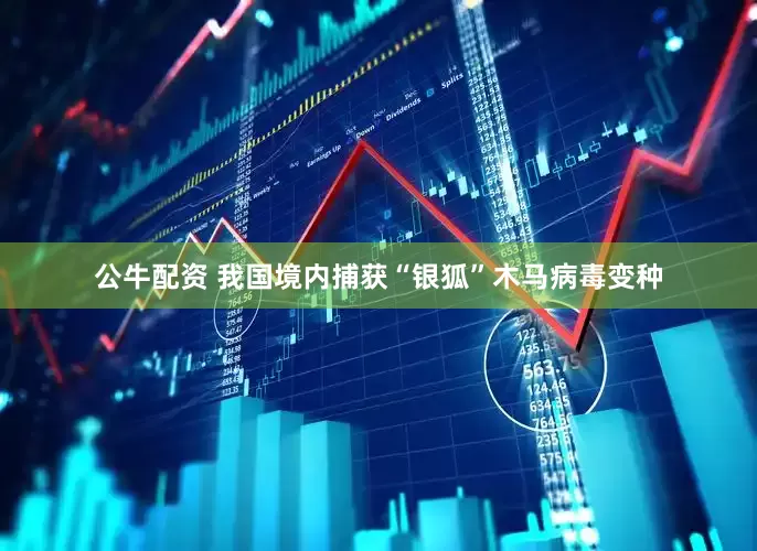公牛配资 我国境内捕获“银狐”木马病毒变种