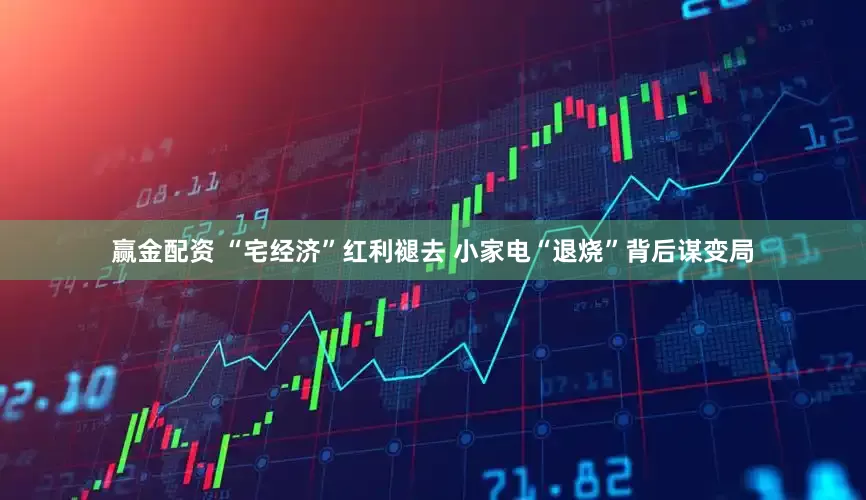赢金配资 “宅经济”红利褪去 小家电“退烧”背后谋变局
