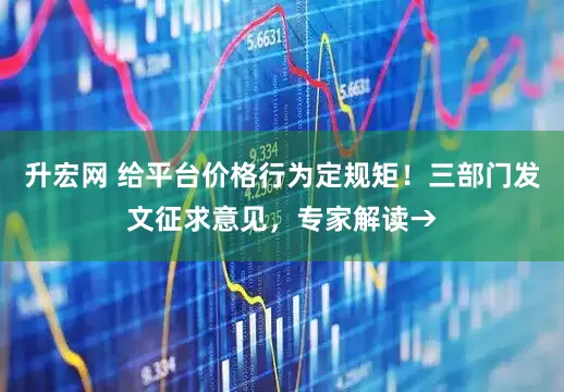升宏网 给平台价格行为定规矩！三部门发文征求意见，专家解读→