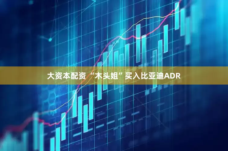 大资本配资 “木头姐”买入比亚迪ADR