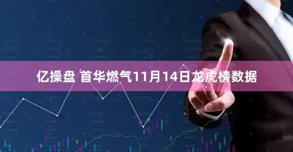 亿操盘 首华燃气11月14日龙虎榜数据